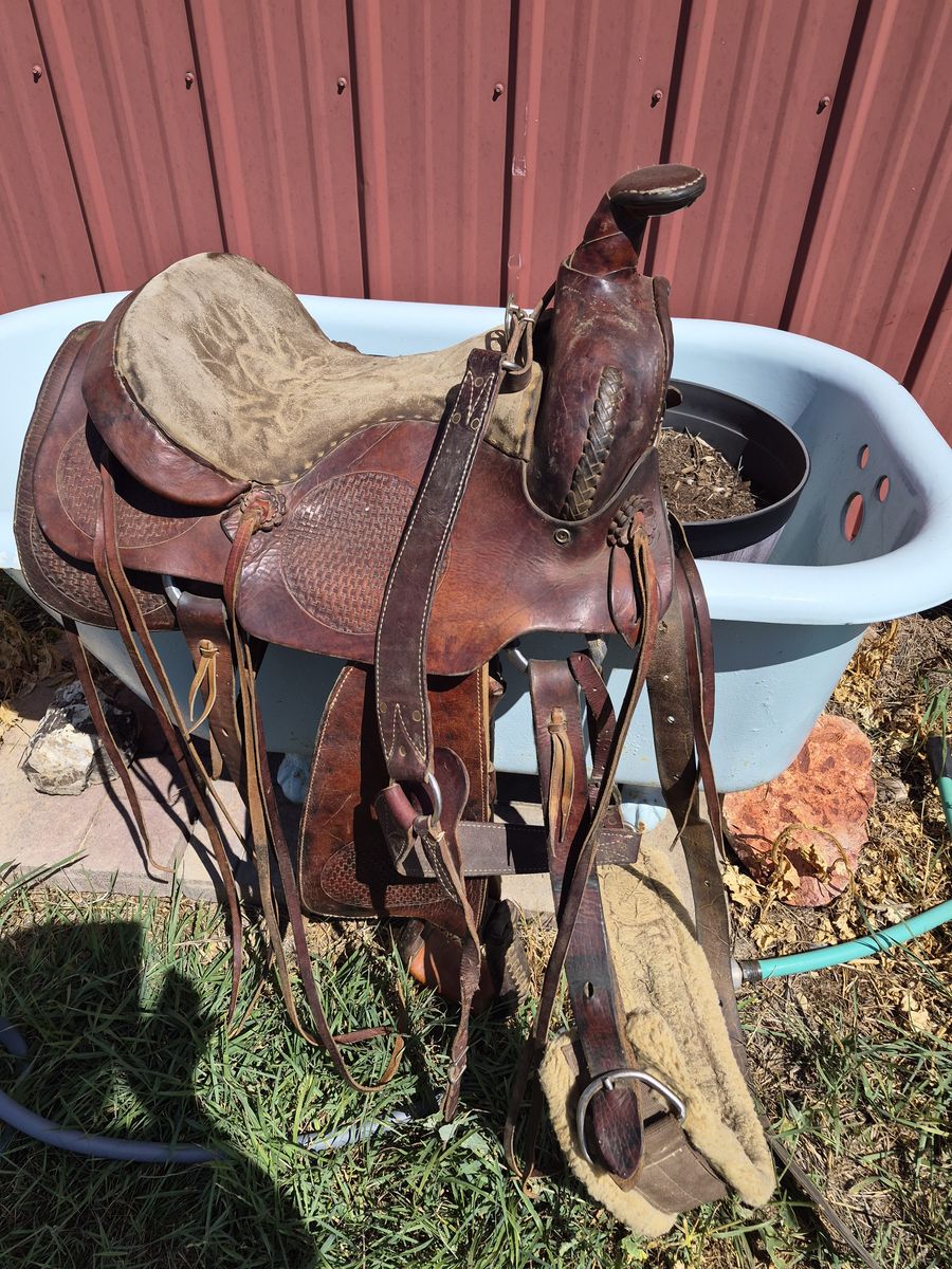 2 Saddles