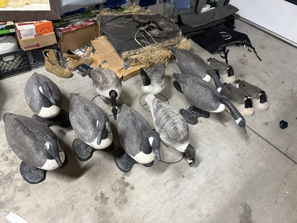 Goose Decoys