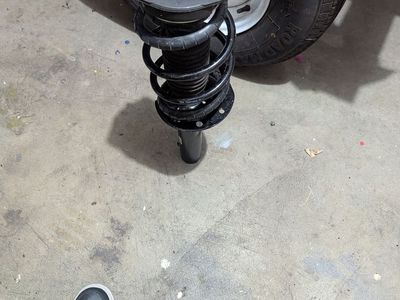 Pair of struts