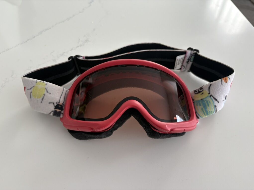 Smith Gambler Kids' Ski Goggles