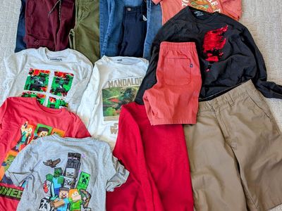 Boys Size L & XL (10–14) Brand-Name School Clothes Bundle