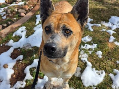 Hello my name is Lupita