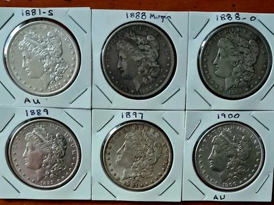 Morgan Silver Dollars