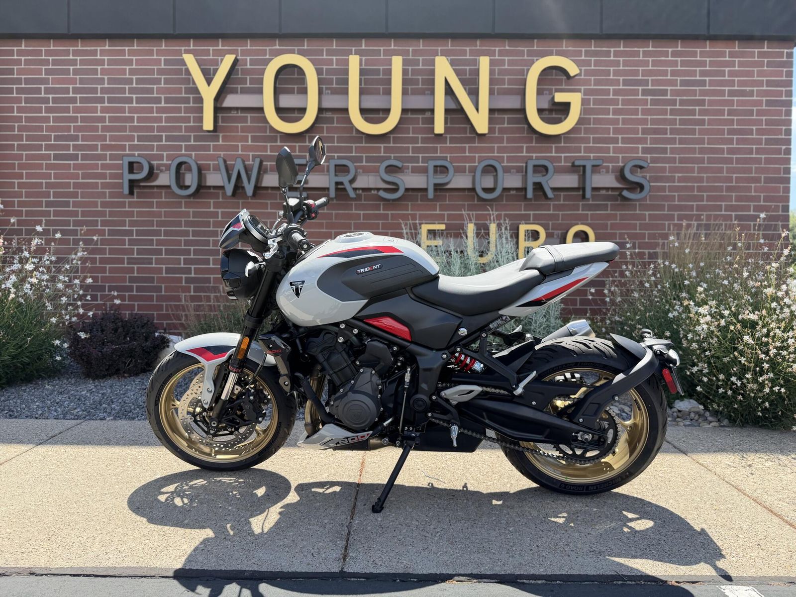 2026 Triumph Trident 800