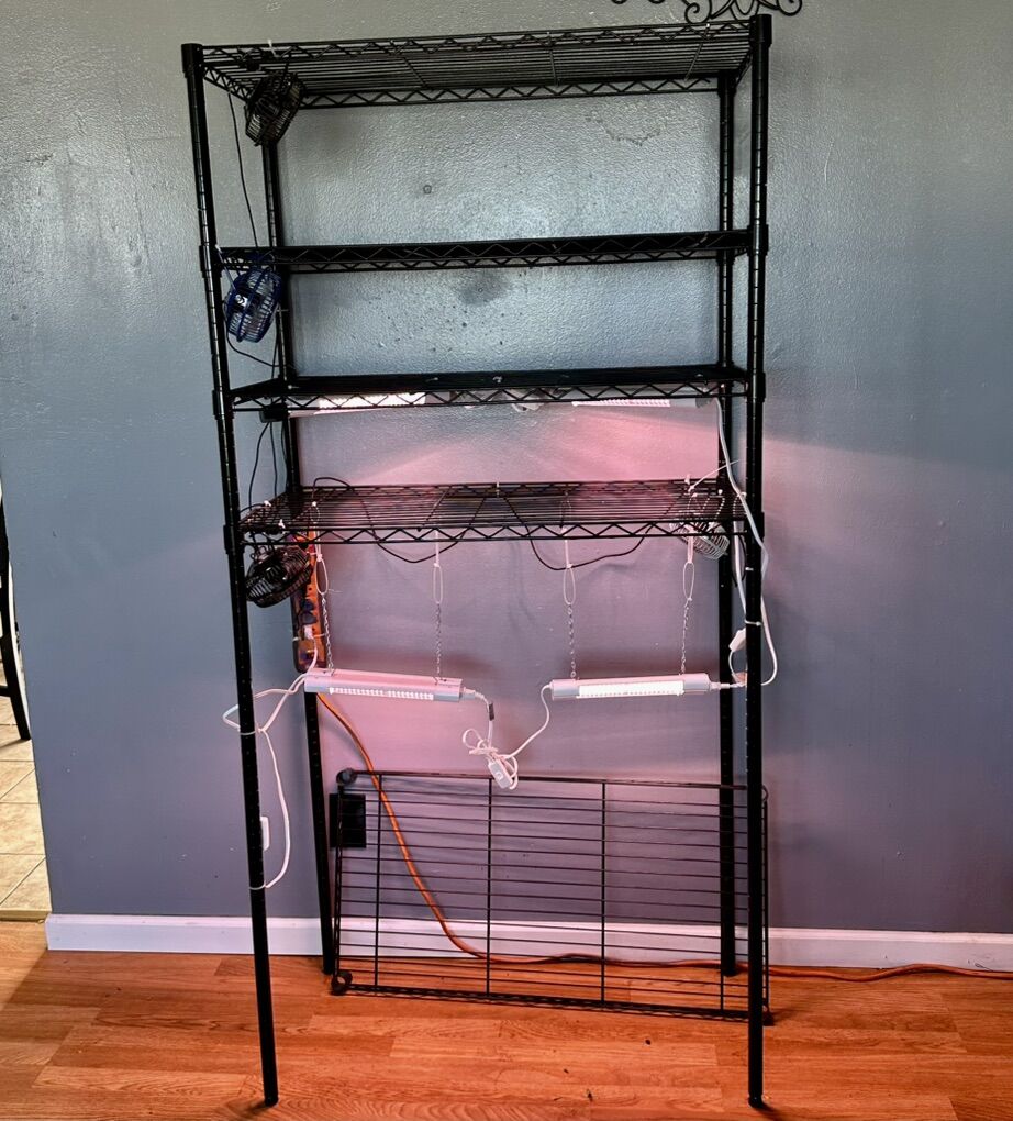 Indoor Gardening Wire Shelving Setup