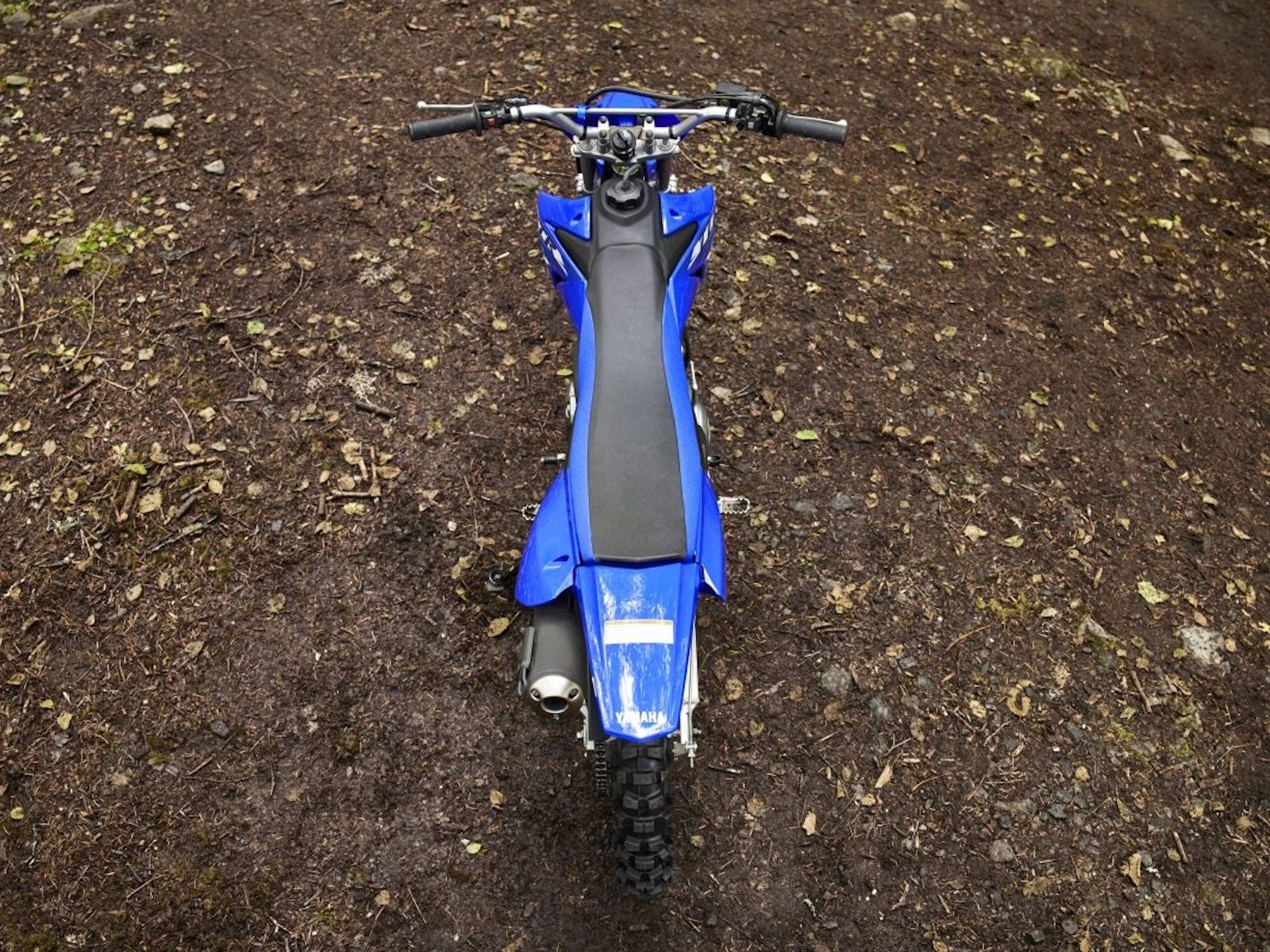 Main image 34