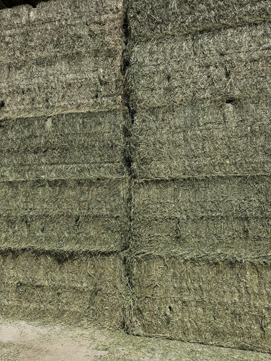 1300 pound premium alfalfa 3 x 4