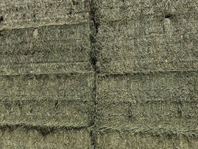 1300 pound premium alfalfa 3 x 4