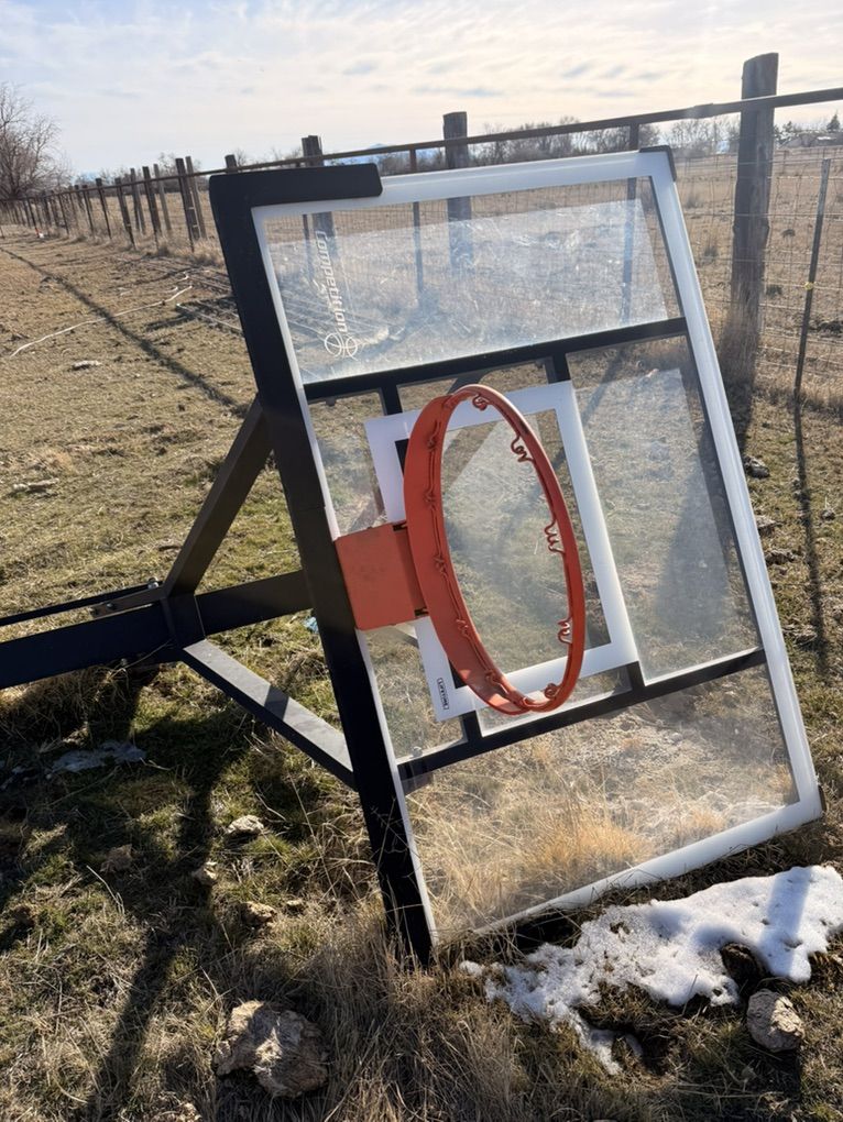 Lifetime Champion Basketball Standards