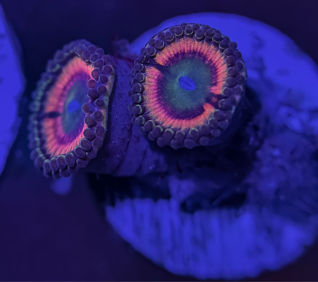 Main image 3
