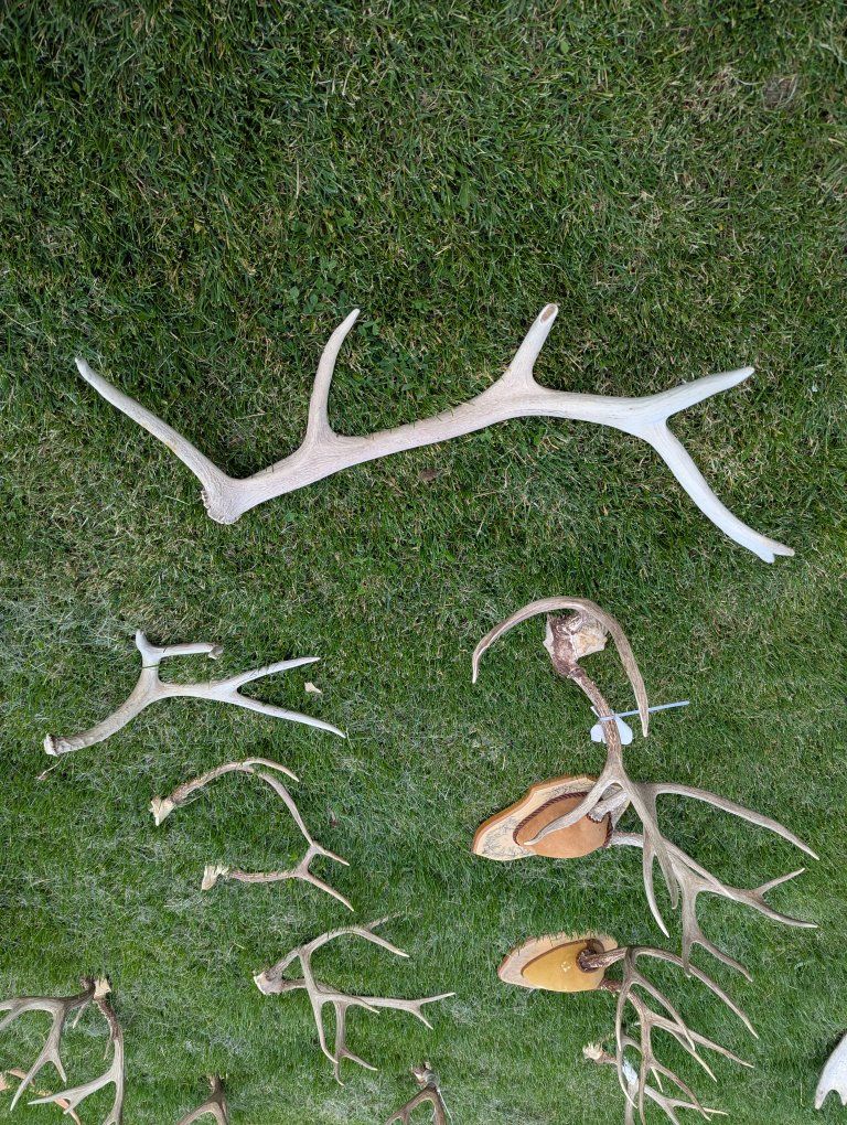 Main image 6