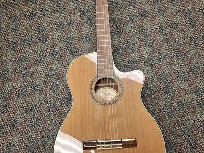 Fender CN-240SCE Thinline Acoustic-Electric Nylon String Classical Guitar w/ Cutaway