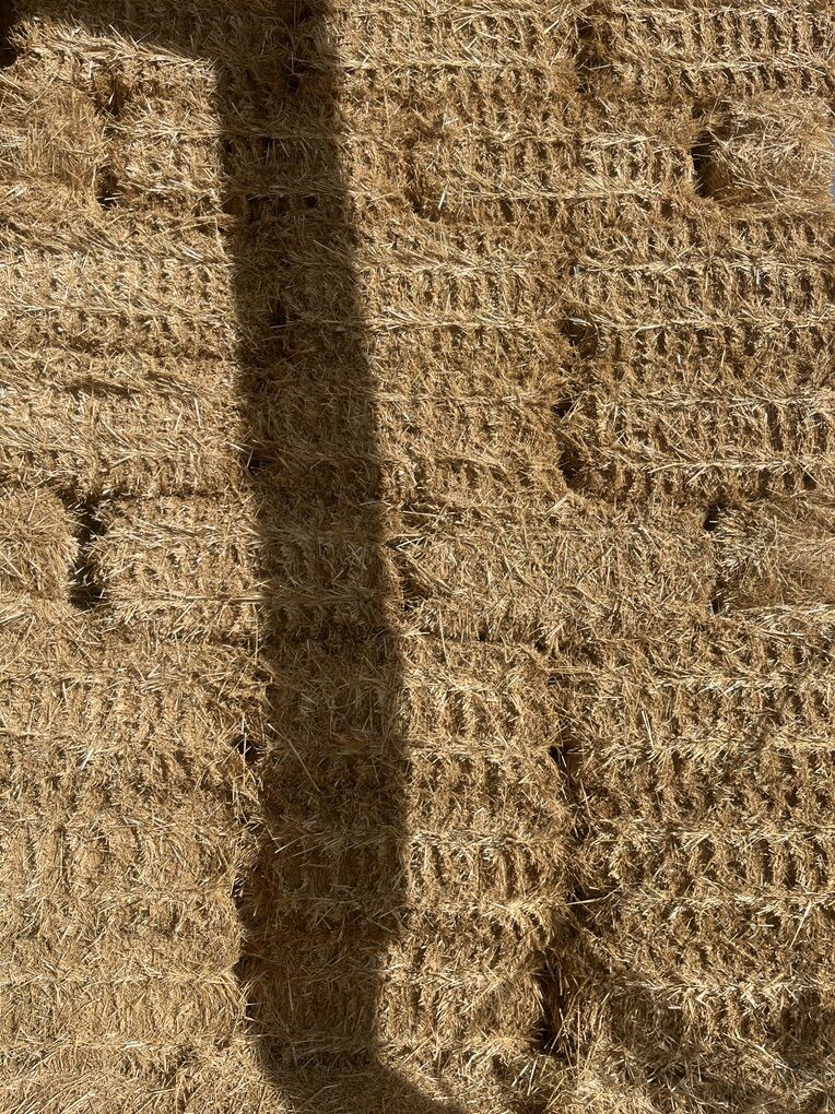 Straw  Clean And Bright