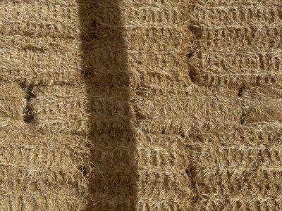 Straw Clean And Bright