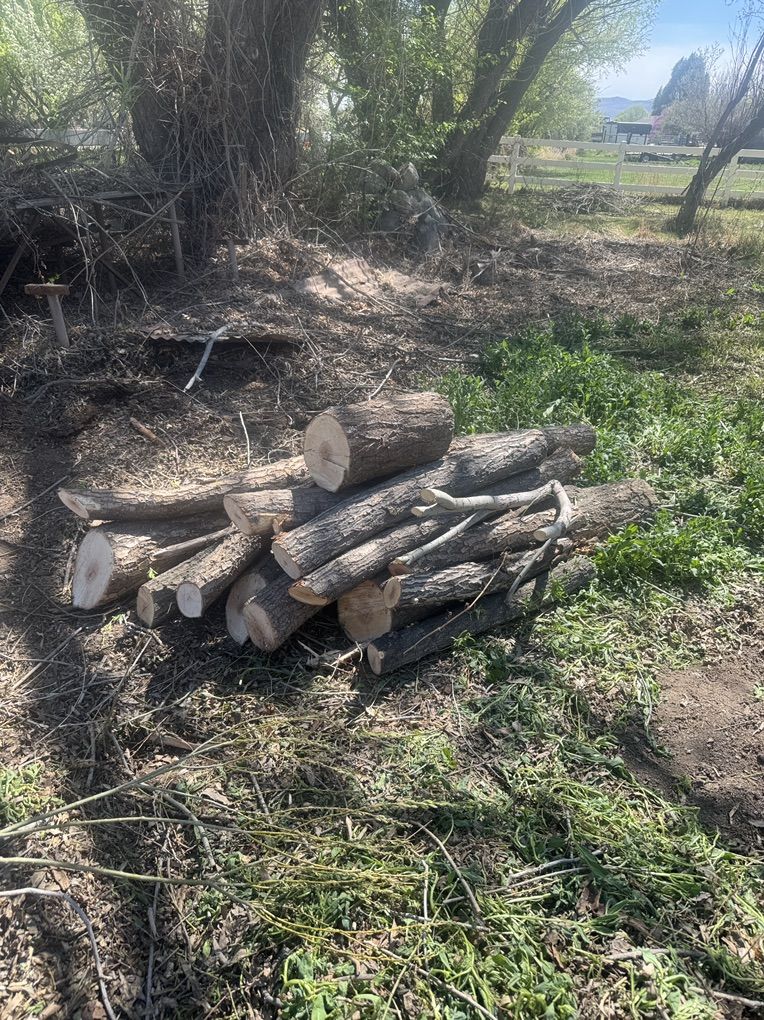 Free Firewood