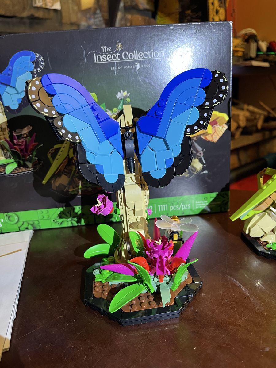 Main image 4