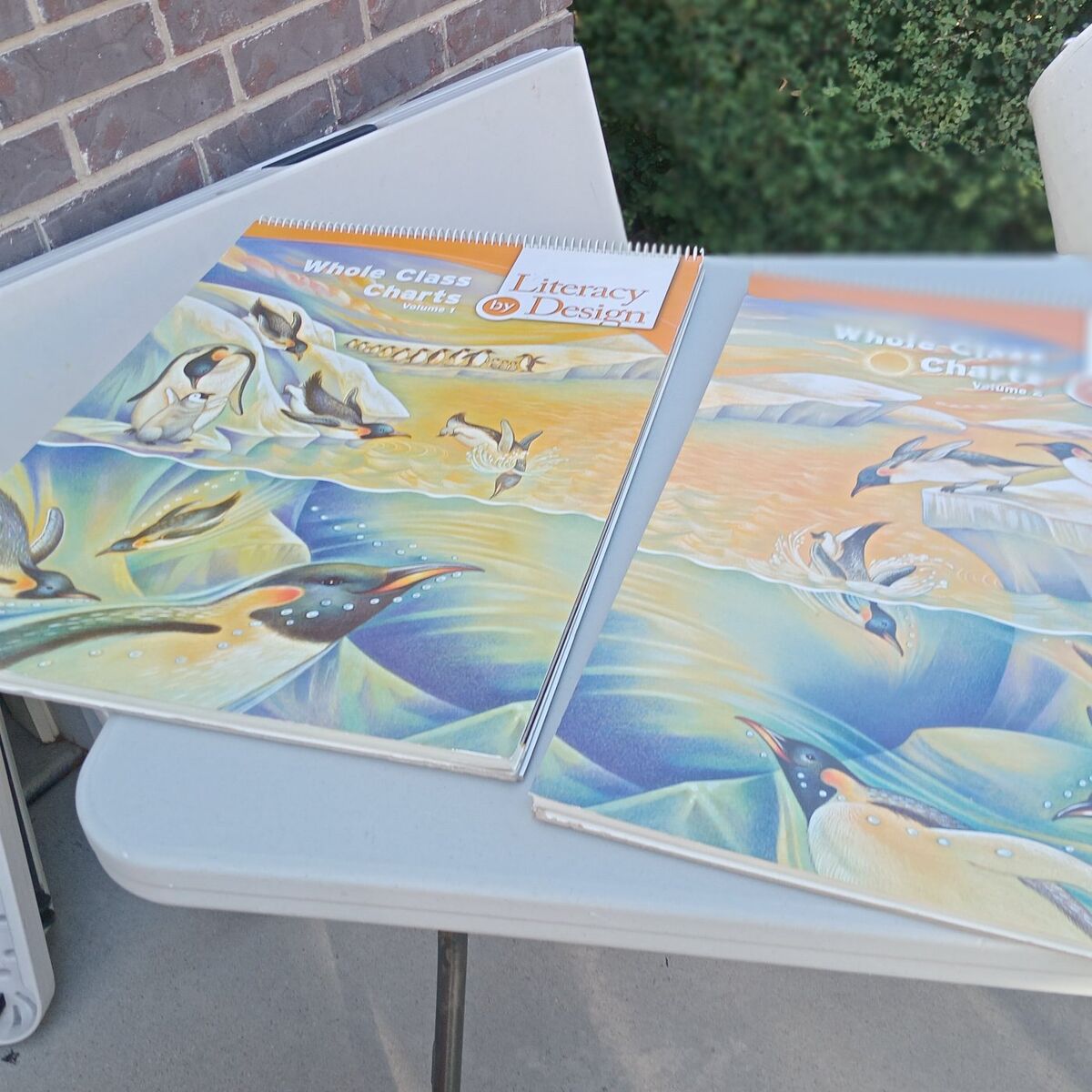 2 Large Bound Literacy Posters Grade 2