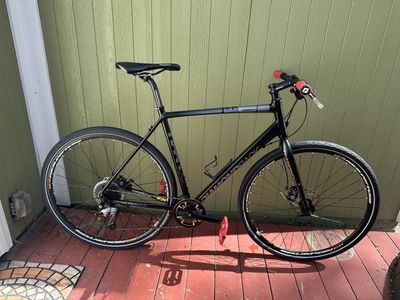 Diamondback Haanjo Metro Size L