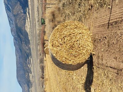 corn bales