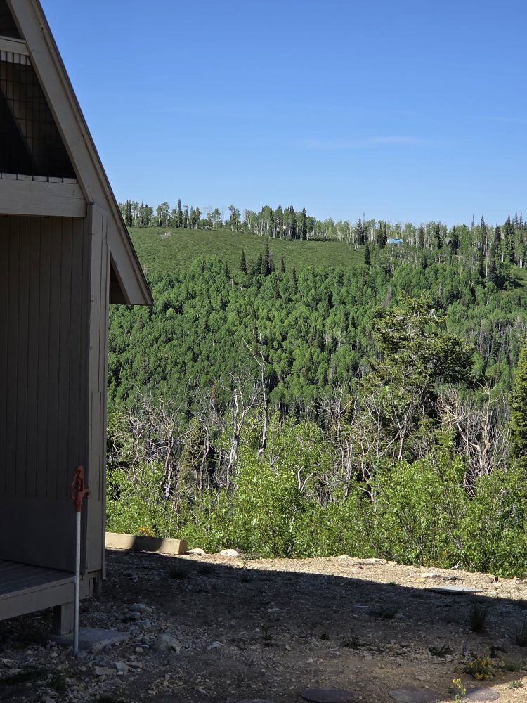 Main image 7