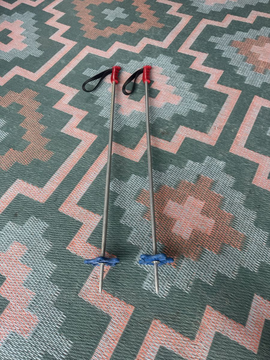 Kids Ski Poles Red Black Silver Blue 86cm