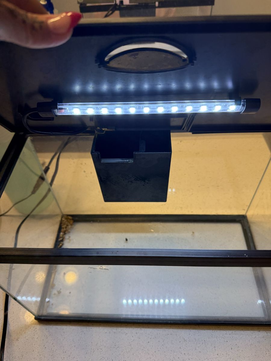 Main image 4