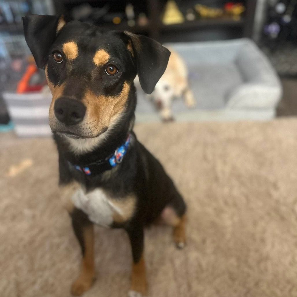Hello my name is Dory
