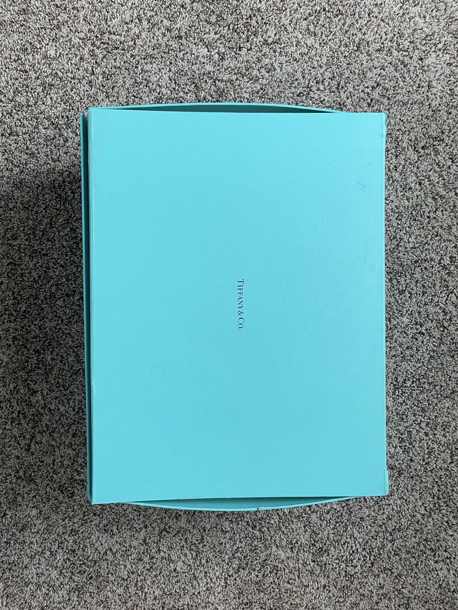 Tiffany & Co Bag/purse