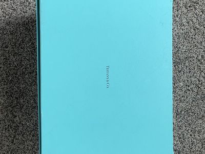 Tiffany & Co Bag/purse