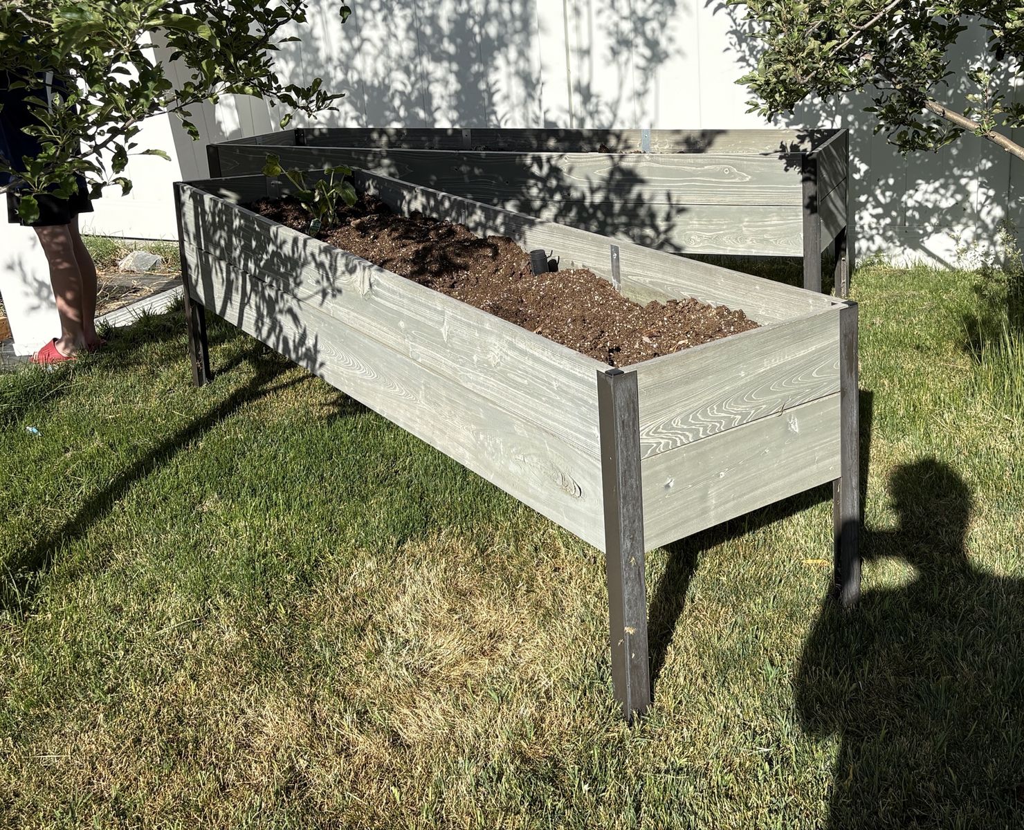 Raised Garden Boxes
