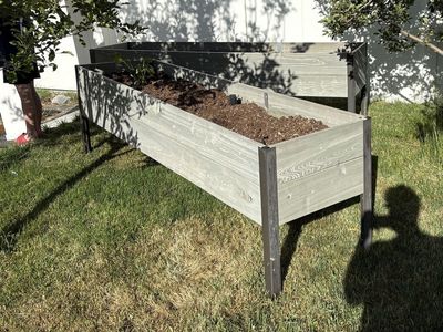 Raised Garden Boxes