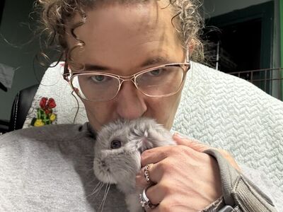 Starlit Start: Your Complete Bunny Care Handbook