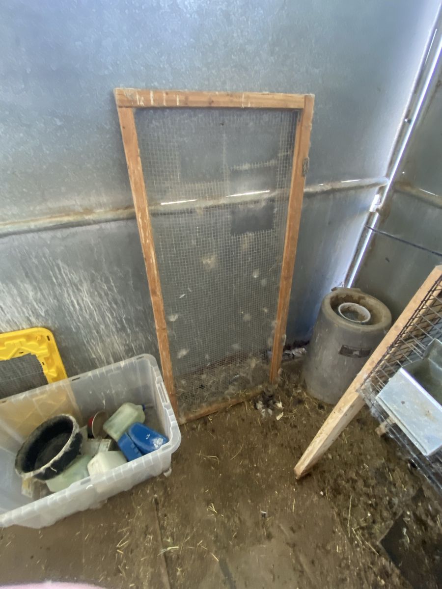 Main image 7