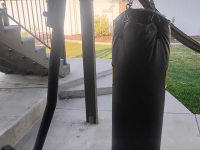 Everlast Heavy Bag with Stand - Used, Great for Home Gym Boxing