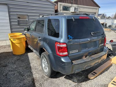 2010 Ford escape