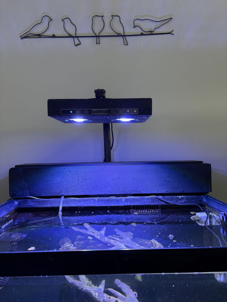 Main image 2