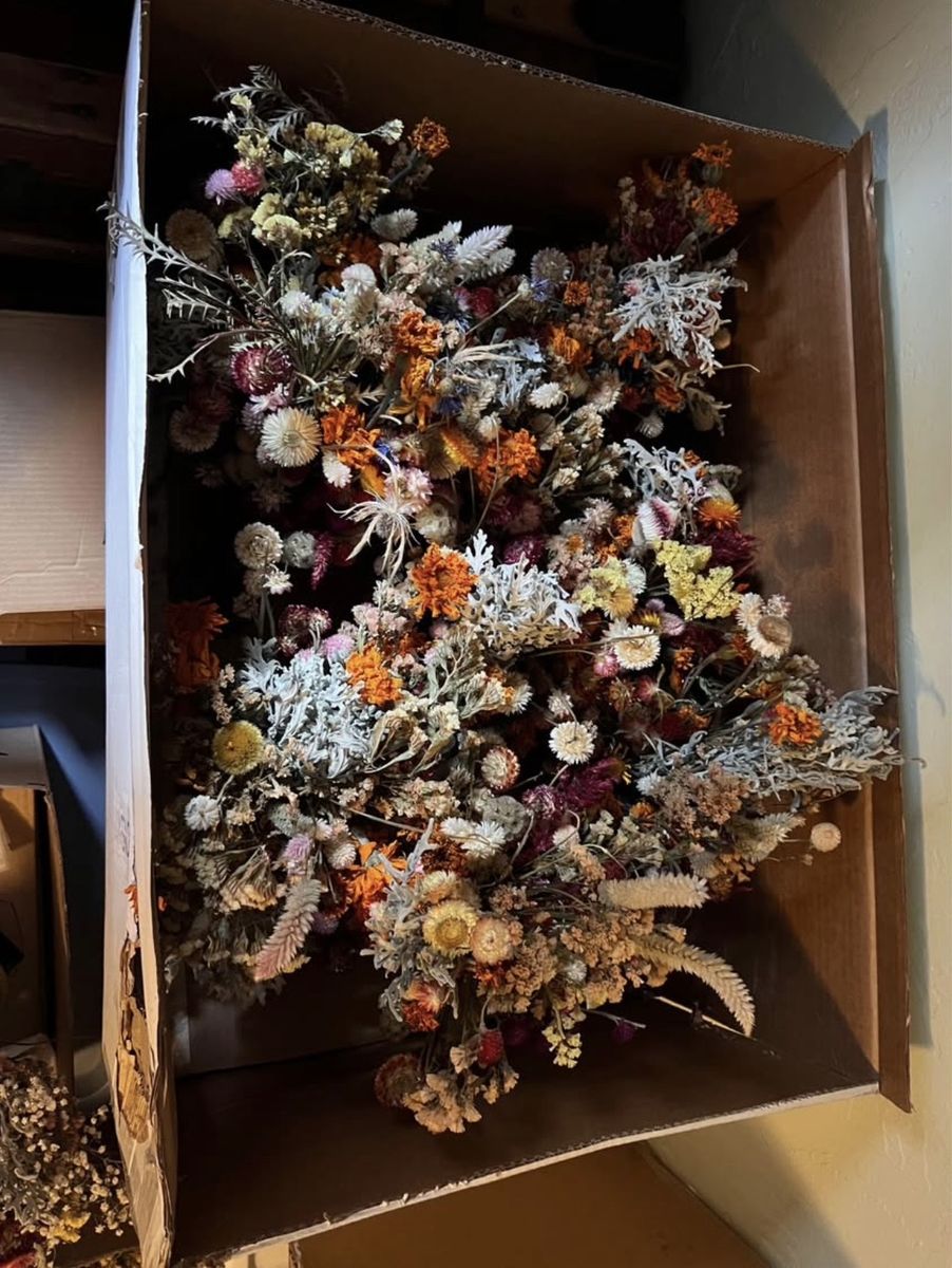 Main image 3