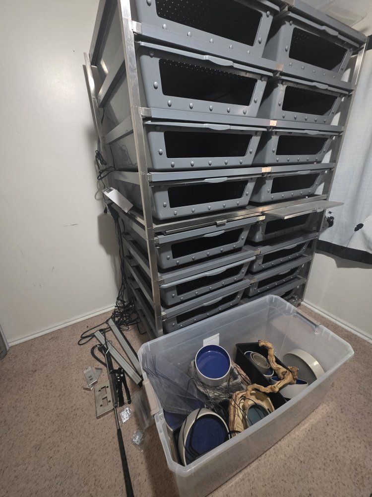 Main image 6