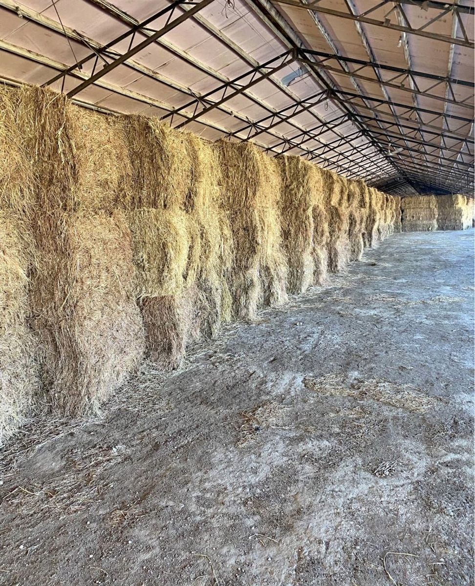 Grass hay 3x4 bales