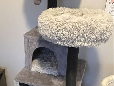 Large Multi-Tier Cat Tree w/ Condo, Scratching Posts & Perches