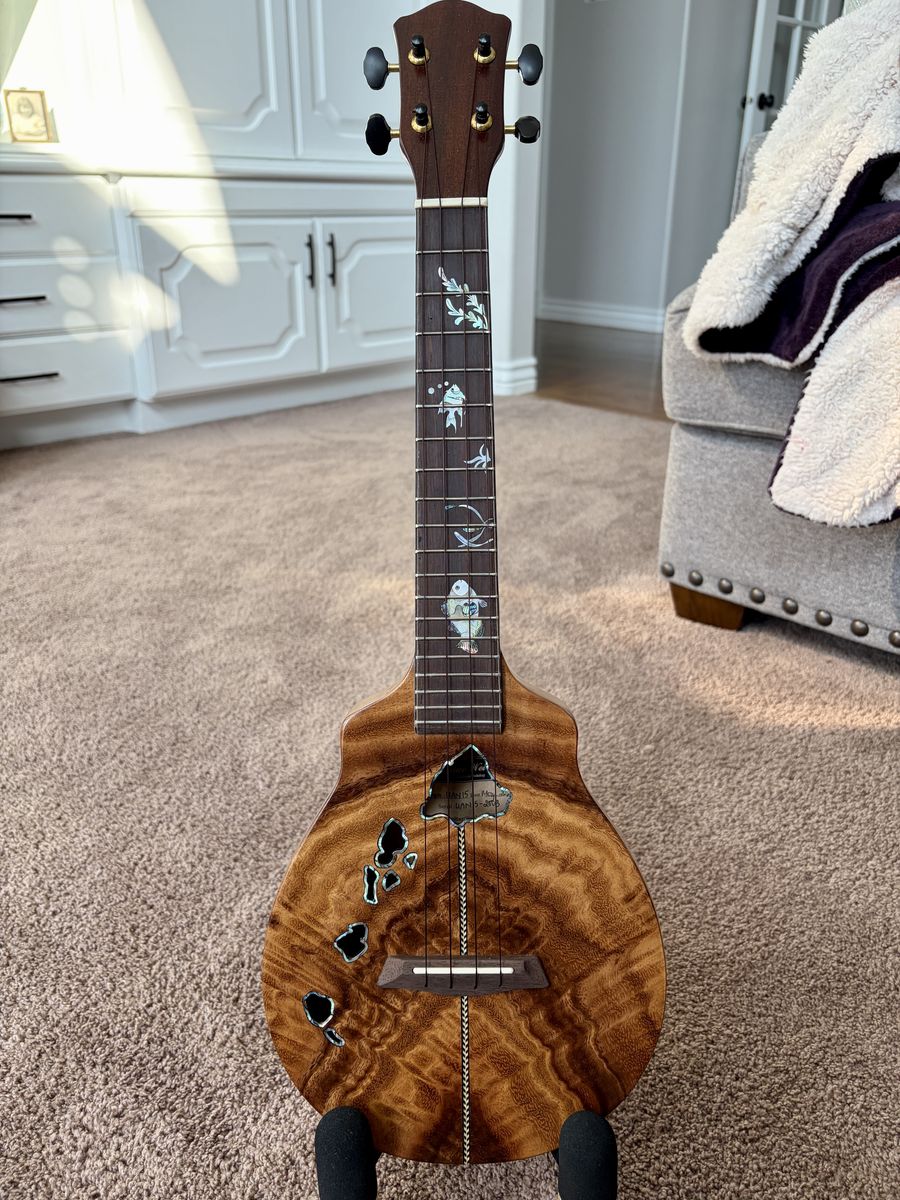 Handmade, solid archback Curly Acacia
