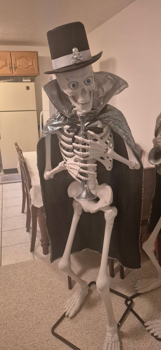 Animated Musical Skeleton Duet