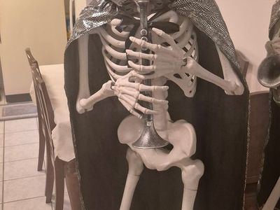 Animated Musical Skeleton Duet