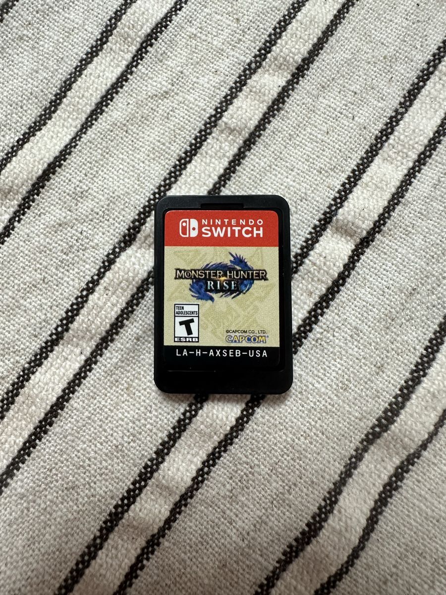 Dragon Hunter Rise Nintendo Switch