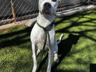 Hello my name is Olly