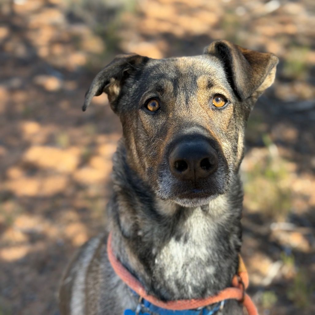 Main image 7