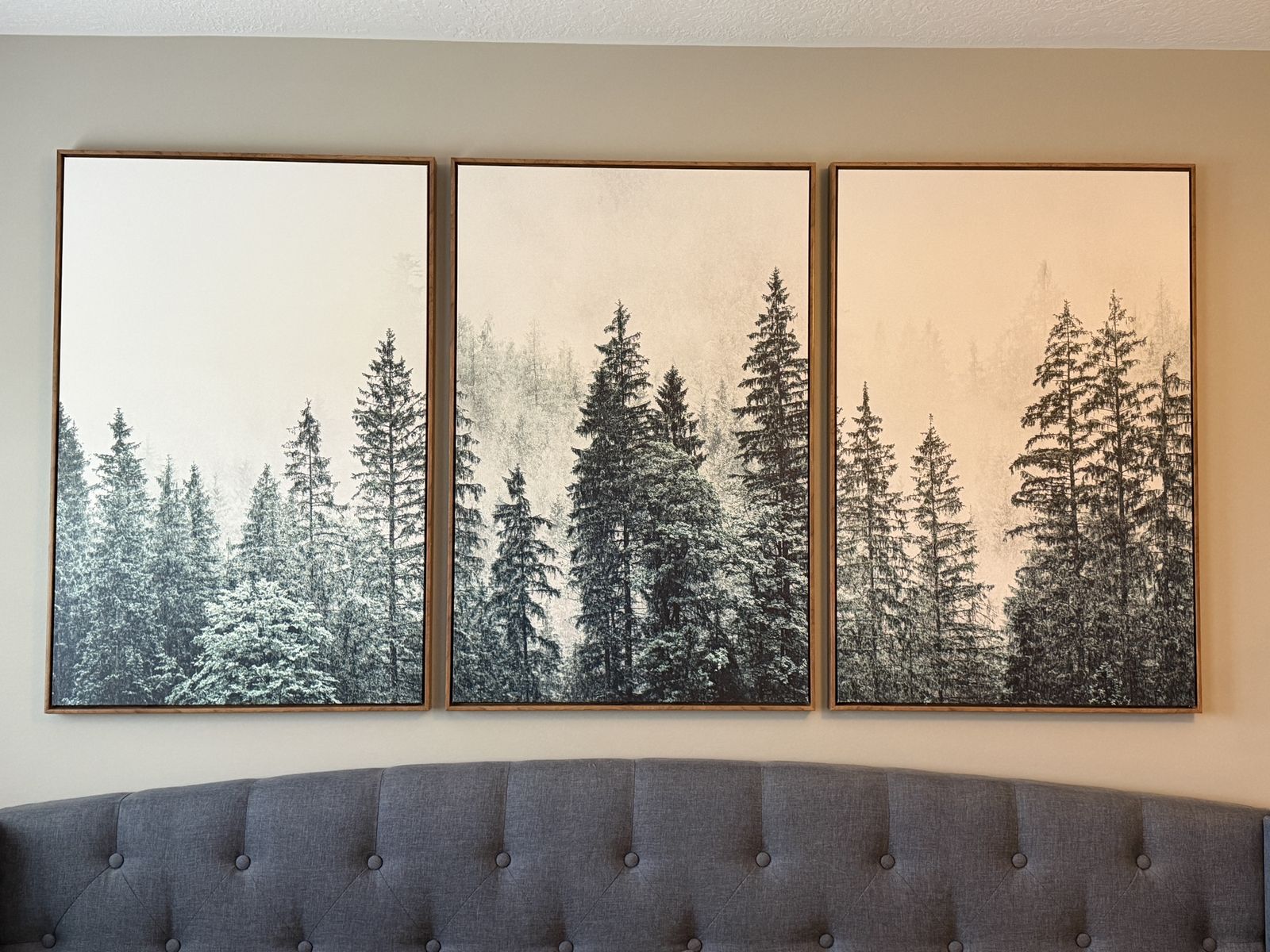 3 Piece Canvas Wall Art