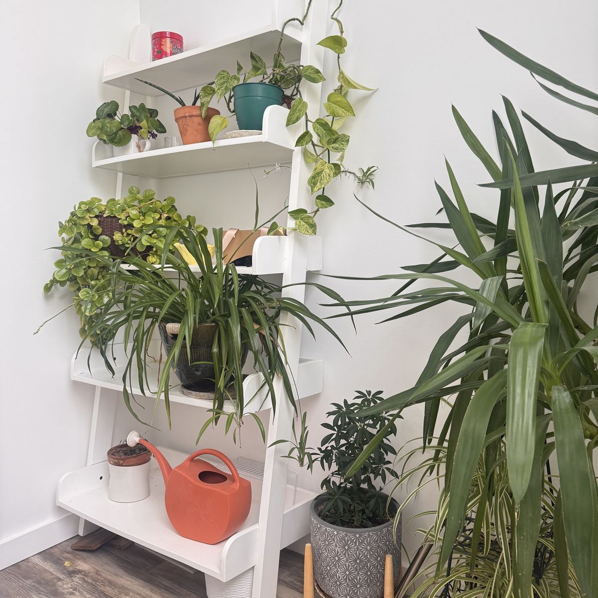 White Wooden 5-Shelf Leaning Ladder Shelve