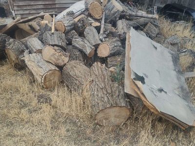 free fire wood