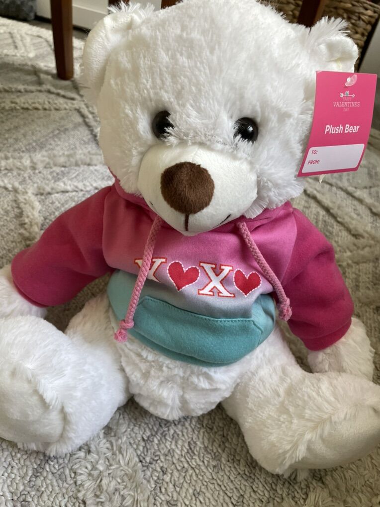 New! Xoxo Plush Bear in Pink Hoodie